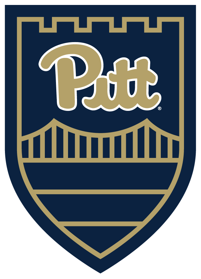 Pittsburgh Panthers 2018-2019 Secondary Logo diy DTF decal sticker